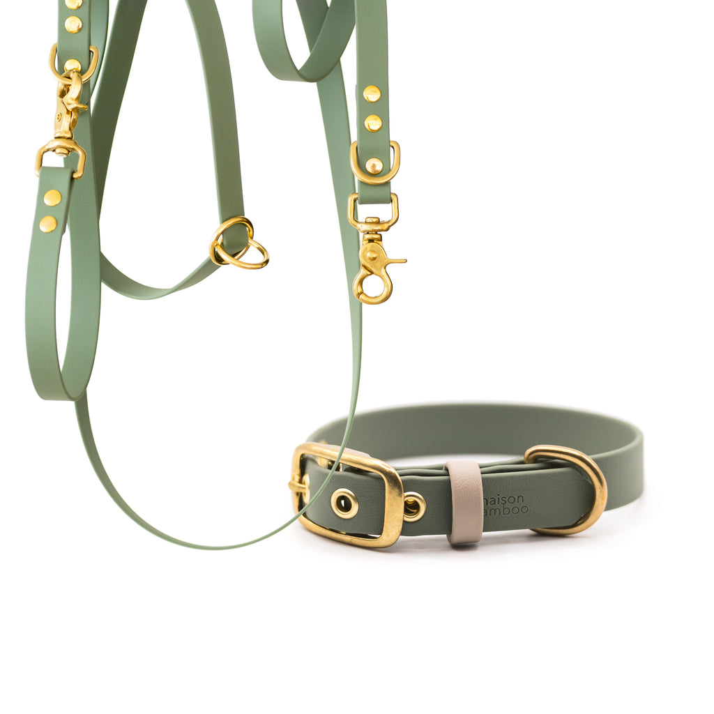 Ensemble | Collier et laisse en Biothane® Cooper