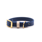 Collier Aslan