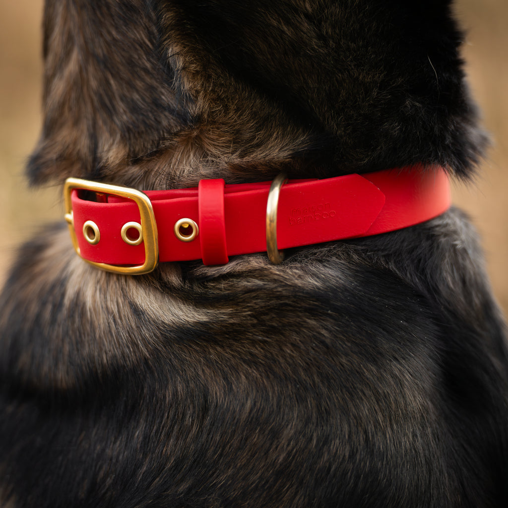 Collier Nuba