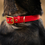 Collier Nuba