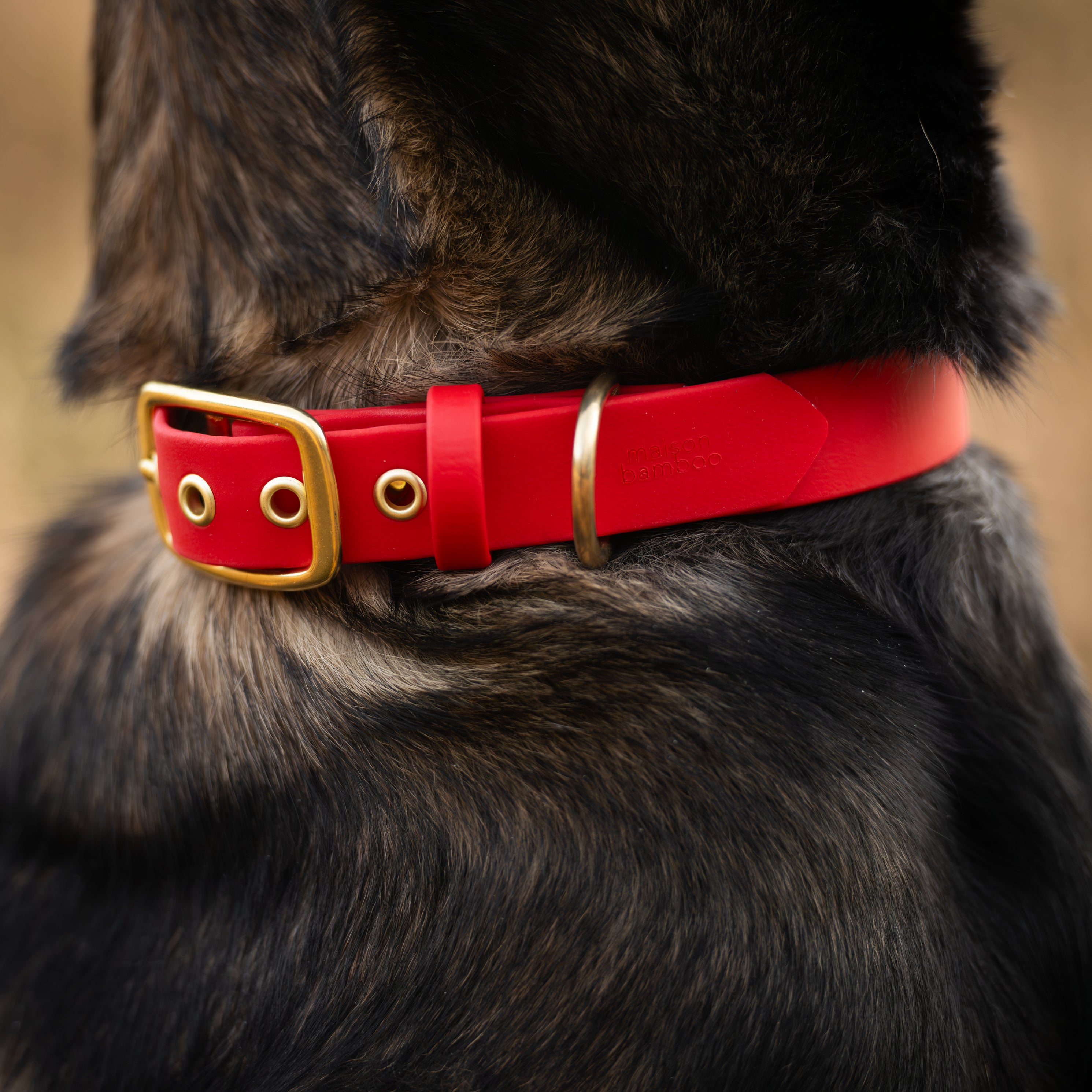 Collier Nuba