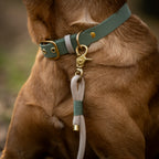 Laisse en corde simple Cooper