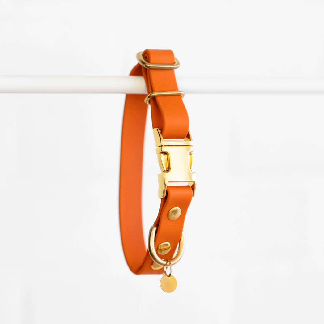 Collier à clip Persée