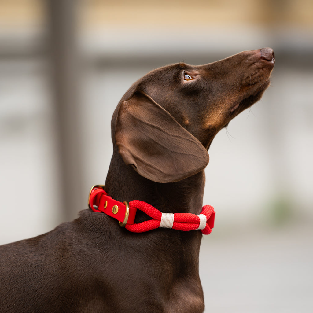 Collier en corde Nuba