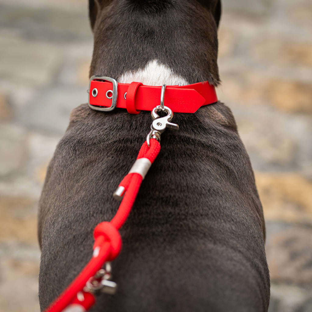 Collier Nuba