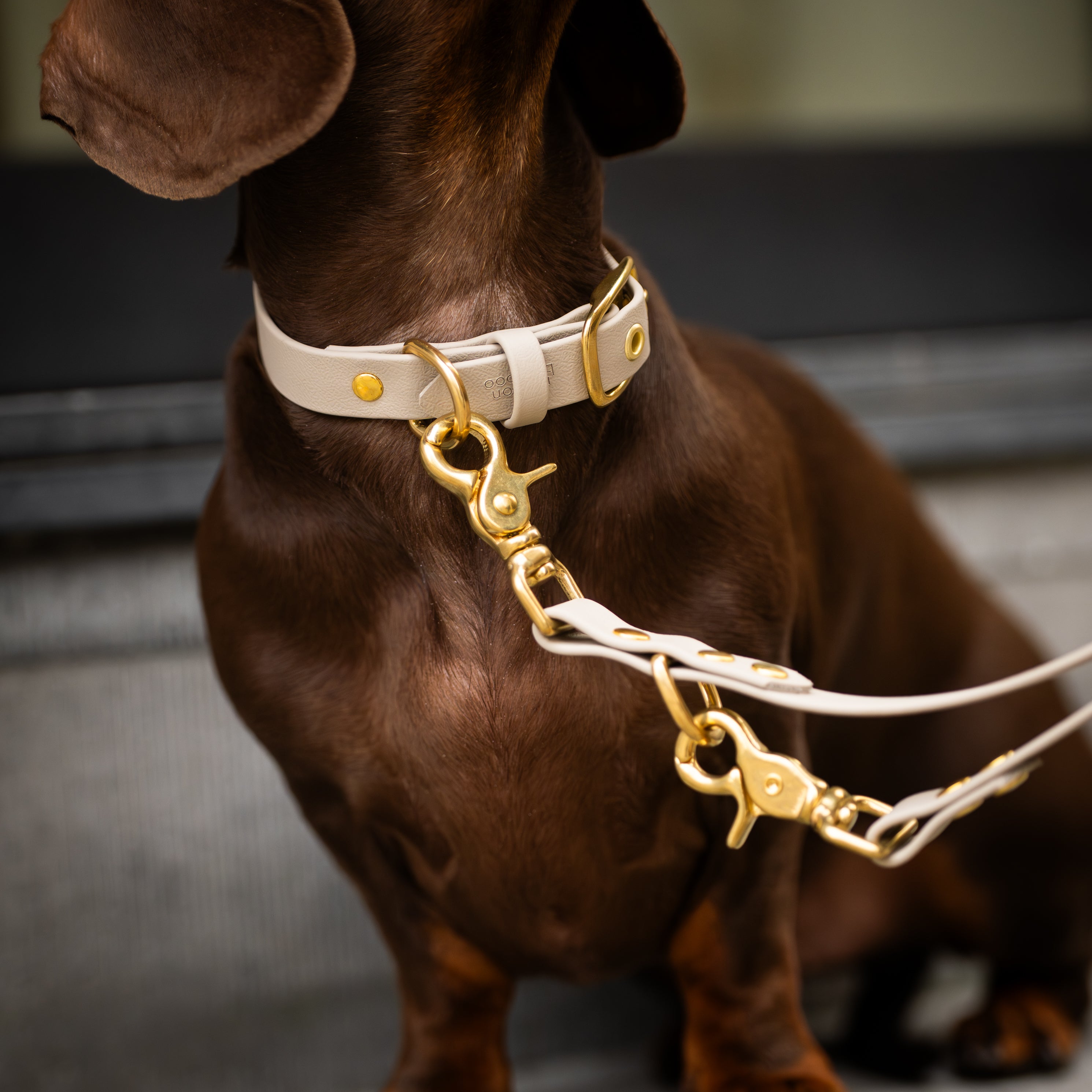 Laisse 3 positions Bamboo